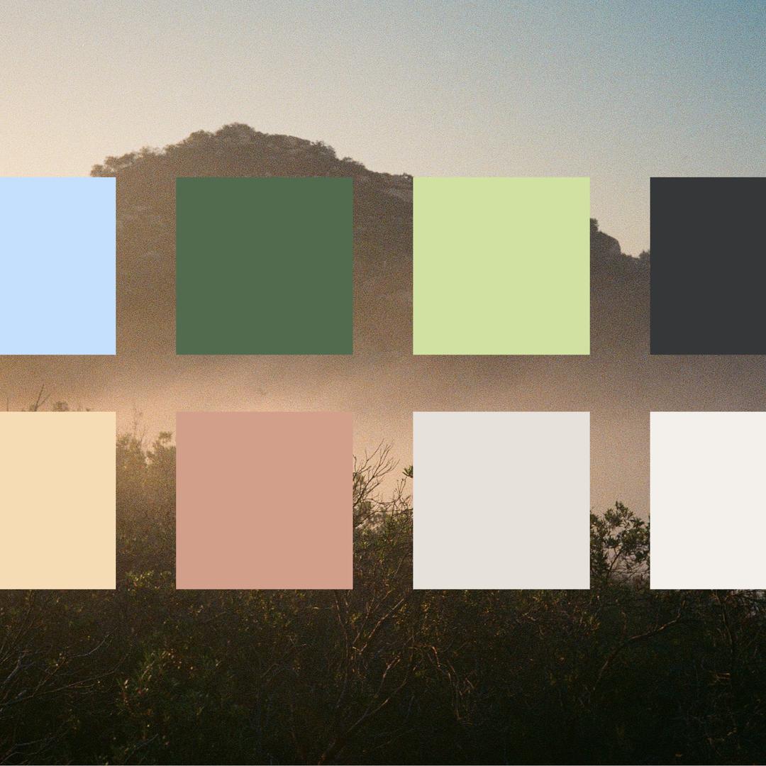 Color
