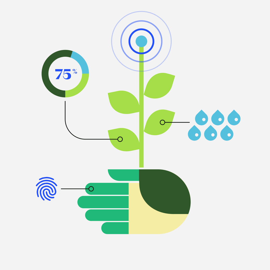 DG Hand Illustration