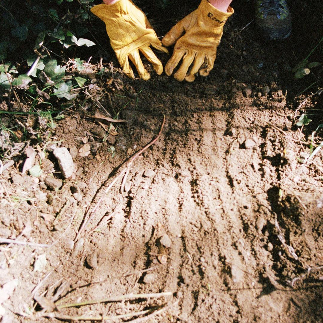 SCMTS Case Study Cover Thumbnail