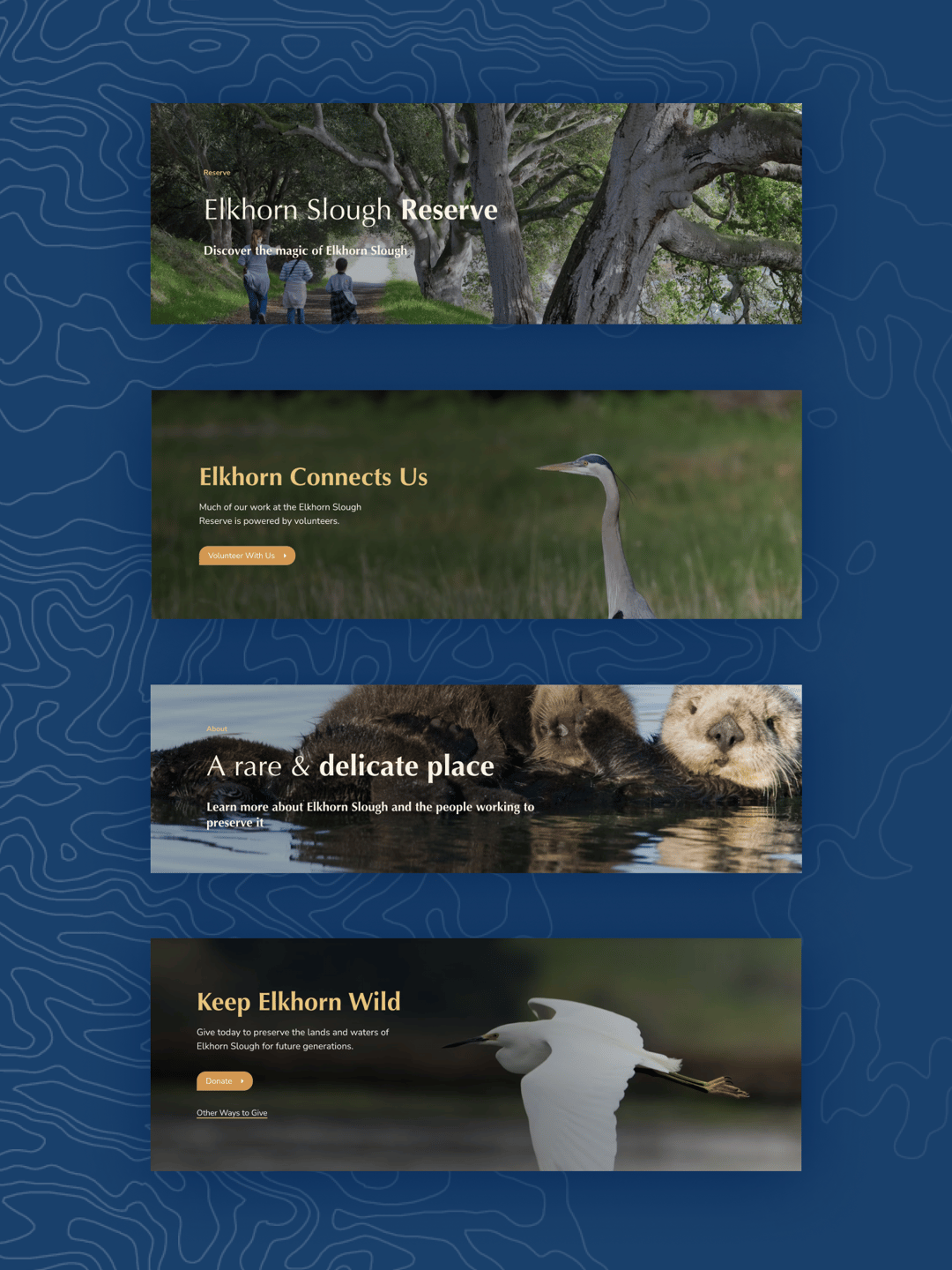 Elkhorn Case Study Thumbnail 5