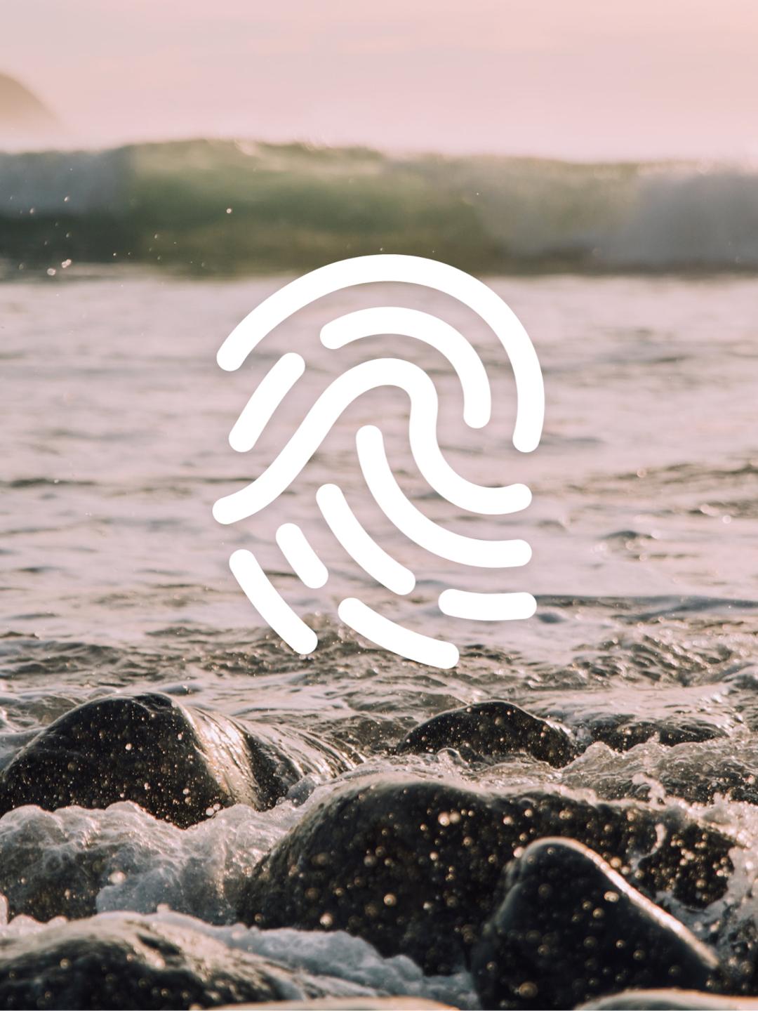 Oceankind Logo Mark
