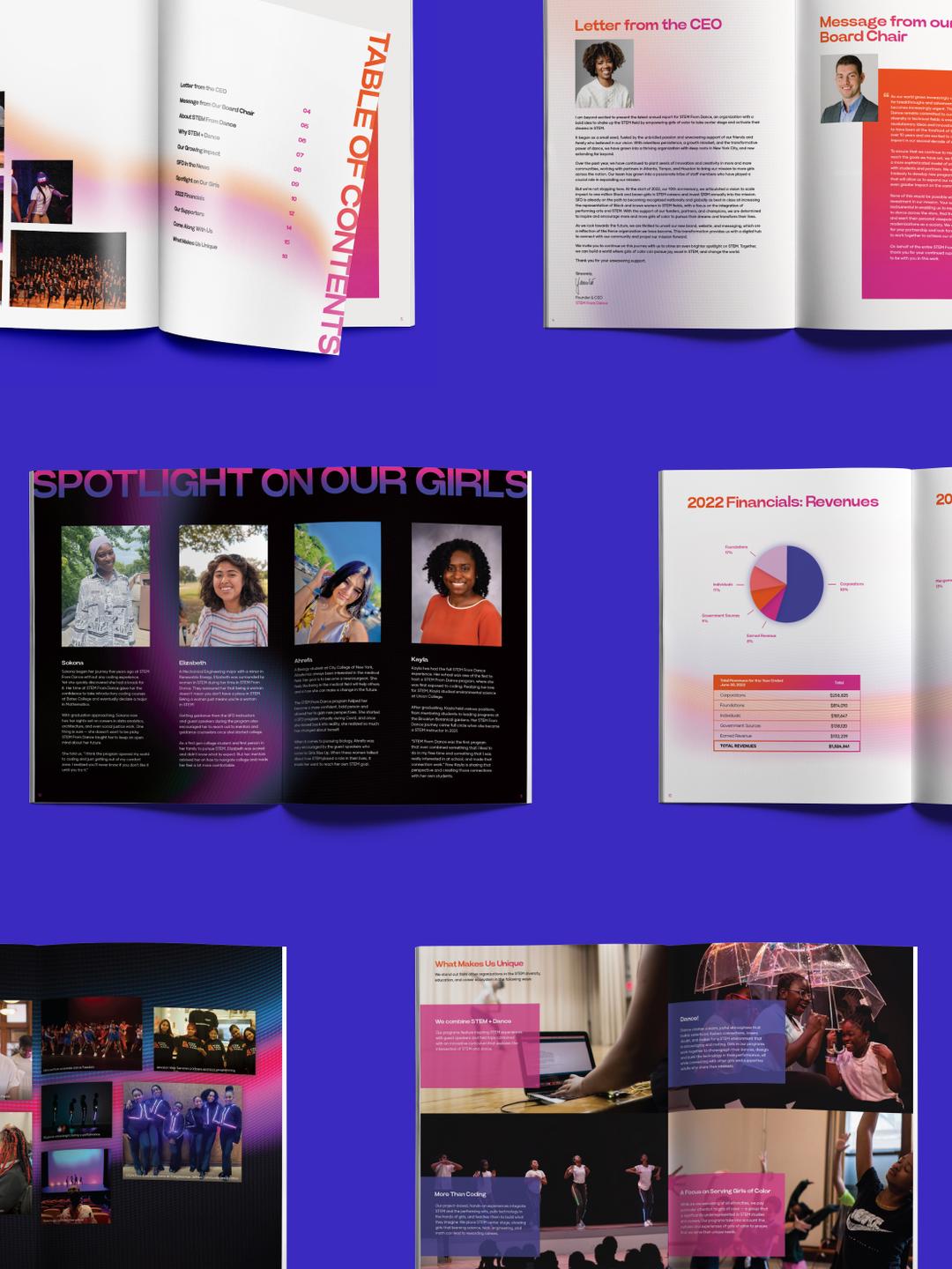 STEM Case Study Annual Report