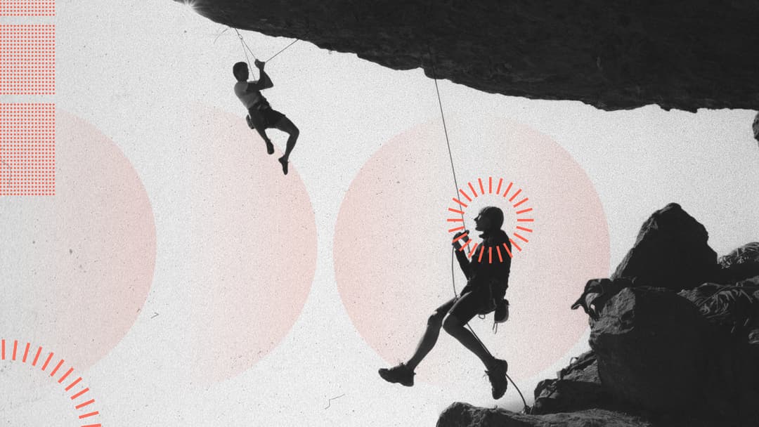 The Power and Pitfalls of Partnerships Website
