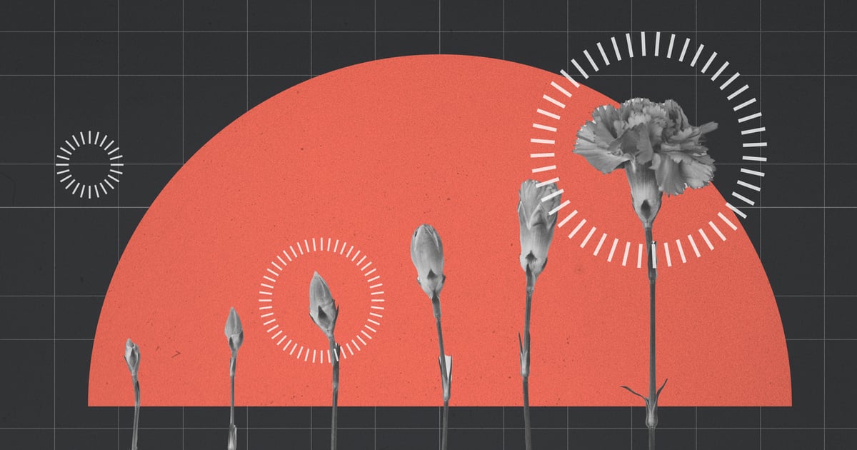 A Guide to Social Impact Marketing Through Brand-building / Cosmic