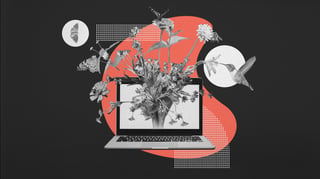 Credibility Website