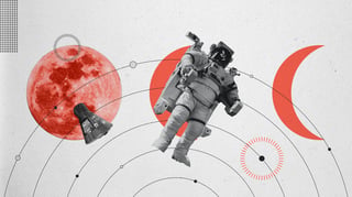 In Defense of Moonshots Website