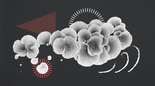 Partners Website