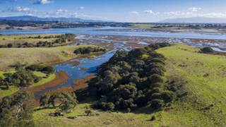 Elkhorn Case Study Hero Image