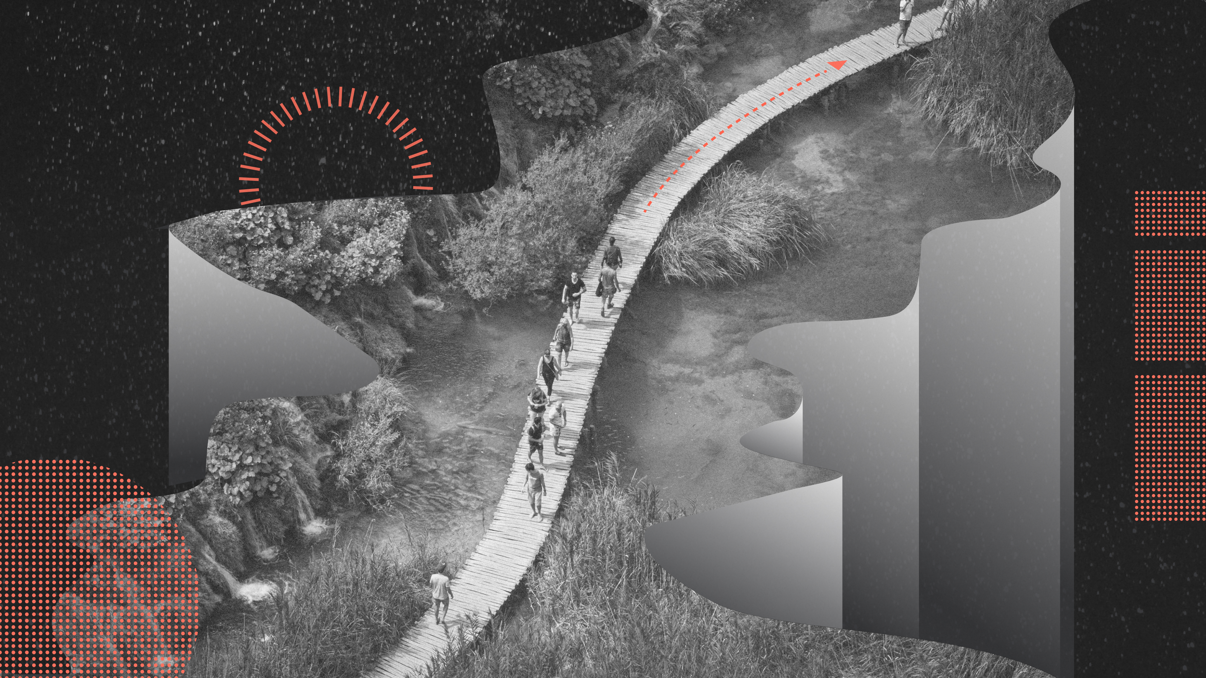 Field Report Website