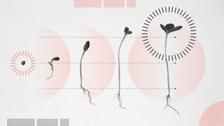 Growth Website