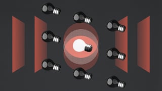 Niche 3 Website