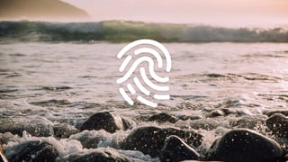Oceankind Logo Mark