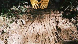 SCMTS Case Study Cover Thumbnail