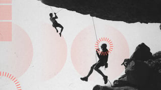 The Power and Pitfalls of Partnerships Website