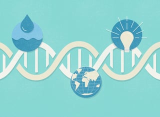 How we define social purpose brands