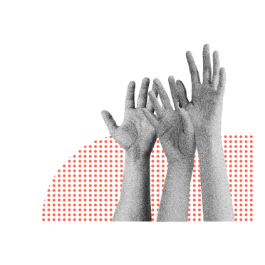 07 Nav Illo